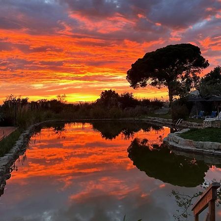 Oasis Camp Portugal Hotell Lagoa  Eksteriør bilde